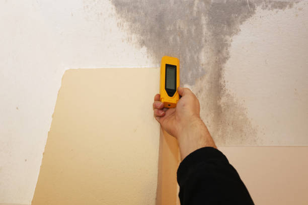 Best Indoor Air Quality Assessment  in Sand Point, AK