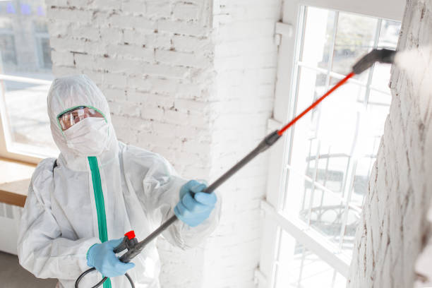 Best Airborne Mold Testing  in Sand Point, AK