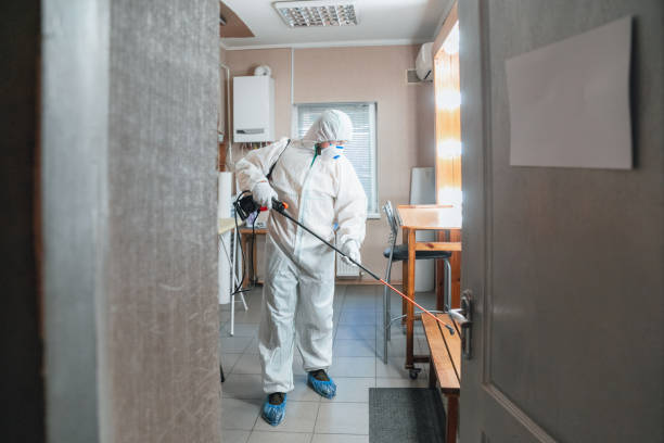 Best Mold Documentation for Insurance Claims  in Sand Point, AK
