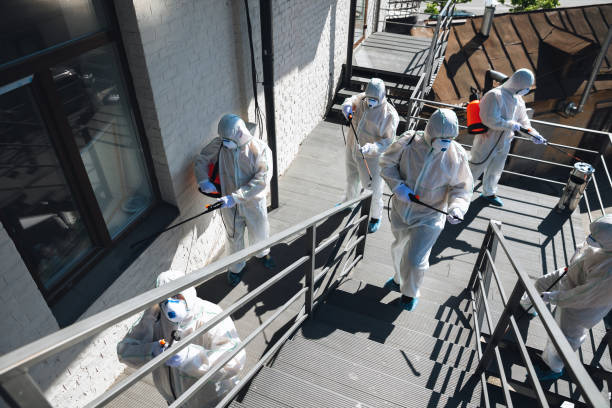 Best Crawl Space Mold Remediation  in Sand Point, AK