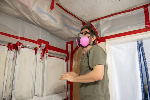 Best Basement Mold Removal  in Sand Point, AK