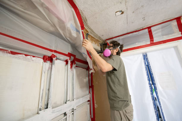 Best Mold Damage Restoration  in Sand Point, AK