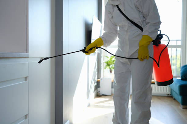 Best Comprehensive Air Testing for Mold Contaminants  in Sand Point, AK