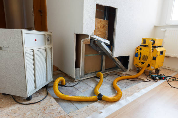 Best Real Estate Mold Inspection  in Sand Point, AK