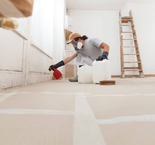 Best Mold Prevention Services  in Sand Point, AK