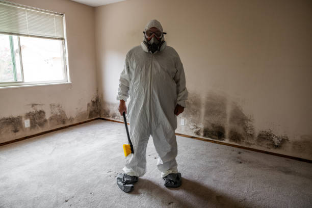 Best Attic Mold Removal  in Sand Point, AK